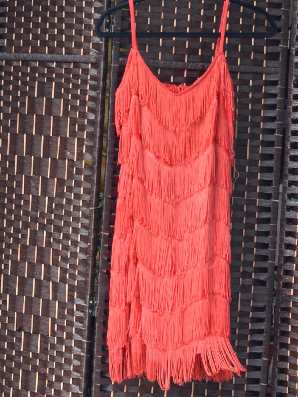 Red fringe Flapper Dress SZ M